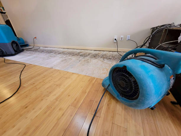 Professional Burst Pipe Water Damage technician working in Harrodsburg, KY